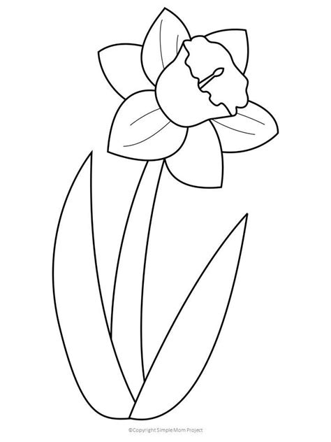 Printable Daffodil Flower Template
